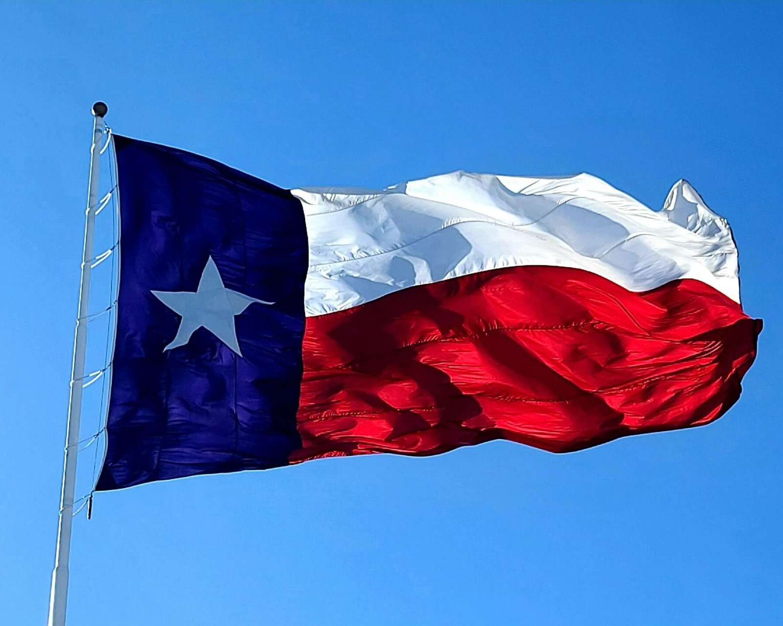 3 Best Dental Marketing Agencies in Texas
